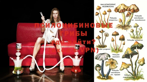 меф Балахна