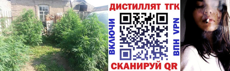 Купить где  Мензелинск  ТГК Wax 